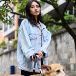 Ataque a tu Perro en Bogotá: Asesoría Legal