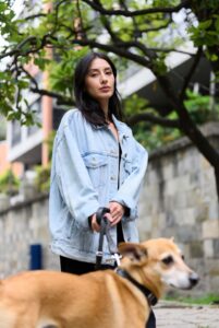 Ataque a tu Perro en Bogotá: Asesoría Legal